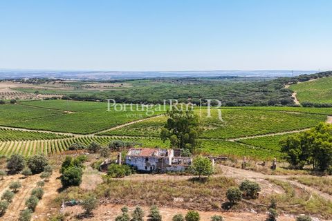 Landejendom i Arcos, Evora, Arcos - € 1.490.000 | Ref: FG446 - foto 1