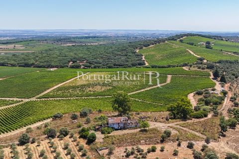 Landejendom i Arcos, Evora, Arcos - € 1.490.000 | Ref: FG446 - foto 19