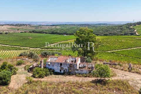 Landejendom i Arcos, Evora, Arcos - € 1.490.000 | Ref: FG446 - foto 20
