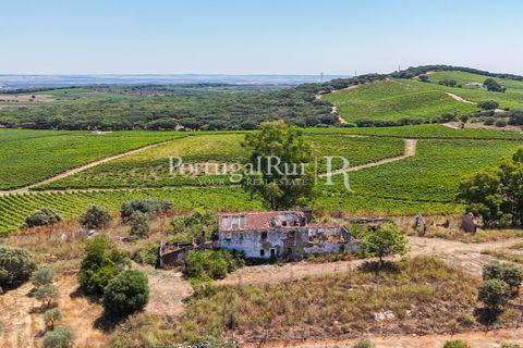 Landejendom i Arcos, Evora, Arcos - € 1.490.000 | Ref: FG446 - foto 21