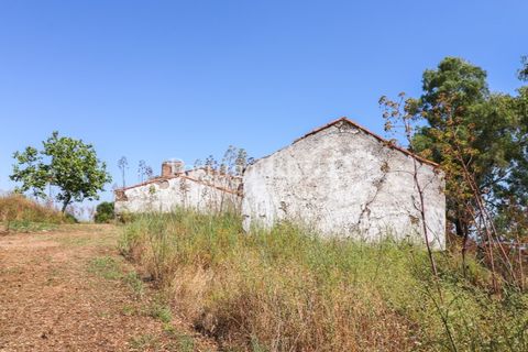 Landejendom i Arcos, Evora, Arcos - € 1.490.000 | Ref: FG446 - foto 23
