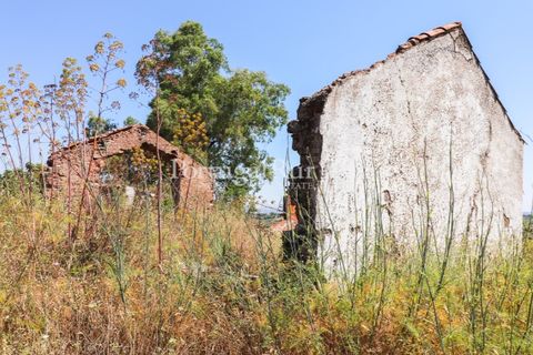 Landejendom i Arcos, Evora, Arcos - € 1.490.000 | Ref: FG446 - foto 24