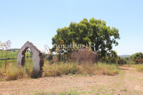 Landejendom i Arcos, Evora, Arcos - € 1.490.000 | Ref: FG446 - foto 30