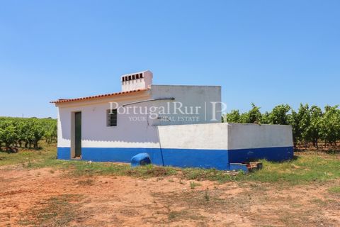 Landejendom i Arcos, Evora, Arcos - € 1.490.000 | Ref: FG446 - foto 40