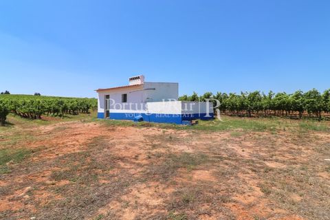 Landejendom i Arcos, Evora, Arcos - € 1.490.000 | Ref: FG446 - foto 41