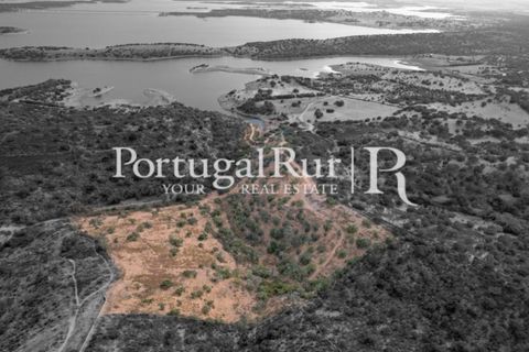 Farm hus i Evora, Evora, Evora - € 600.000 | Ref: RG2033 - foto 5