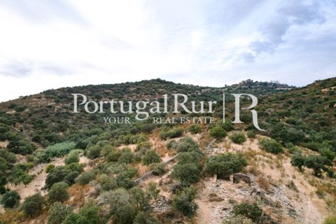 Farm hus i Evora, Evora, Evora - € 600.000 | Ref: RG2033 - foto 6
