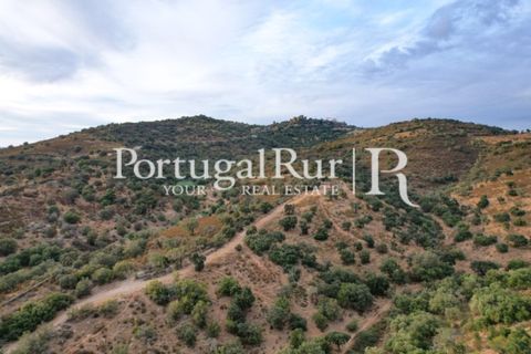 Farm hus i Evora, Evora, Evora - € 600.000 | Ref: RG2033 - foto 10