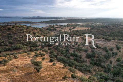 Farm hus i Evora, Evora, Evora - € 600.000 | Ref: RG2033 - foto 11