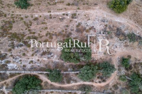Farm hus i Evora, Evora, Evora - € 600.000 | Ref: RG2033 - foto 14
