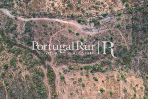 Farm hus i Evora, Evora, Evora - € 600.000 | Ref: RG2033 - foto 15