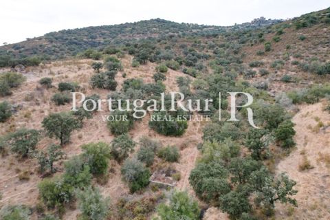 Farm hus i Evora, Evora, Evora - € 600.000 | Ref: RG2033 - foto 16