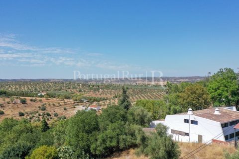 Villa i Moura, Beja, Moura - € 1.200.000 | Ref: TG3278 - foto 4