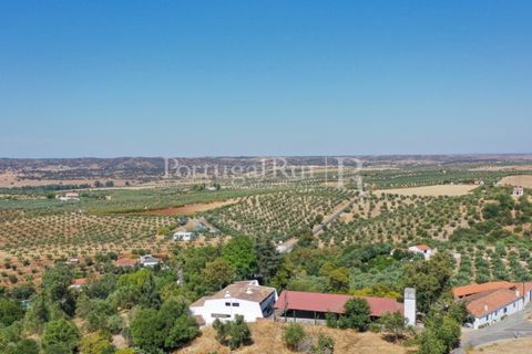 Villa i Moura, Beja, Moura - € 1.200.000 | Ref: TG3278 - foto 5