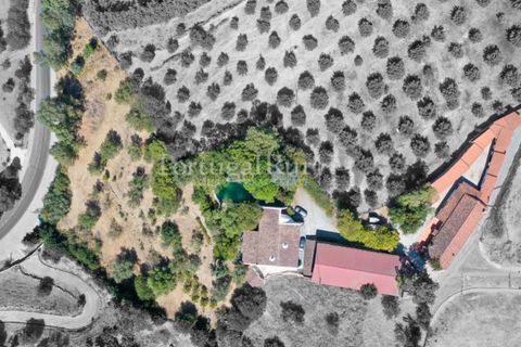 Villa i Moura, Beja, Moura - € 1.200.000 | Ref: TG3278 - foto 6