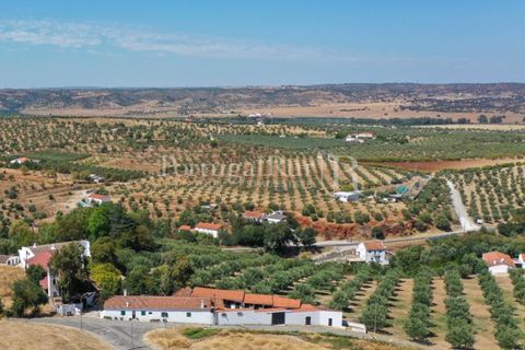 Villa i Moura, Beja, Moura - € 1.200.000 | Ref: TG3278 - foto 7