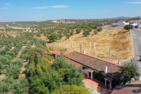 Villa i Moura, Beja, Moura - € 1.200.000 | Ref: TG3278 - foto 8