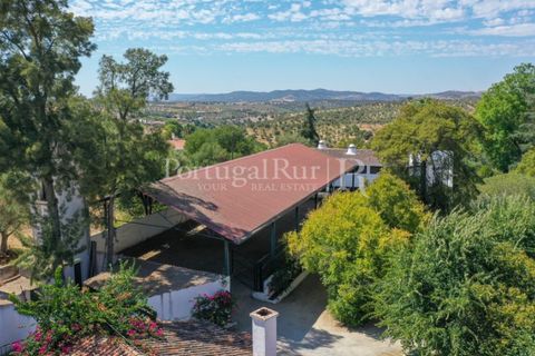 Villa i Moura, Beja, Moura - € 1.200.000 | Ref: TG3278 - foto 9