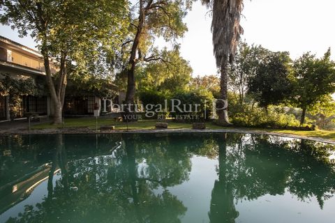 Villa i Moura, Beja, Moura - € 1.200.000 | Ref: TG3278 - foto 10