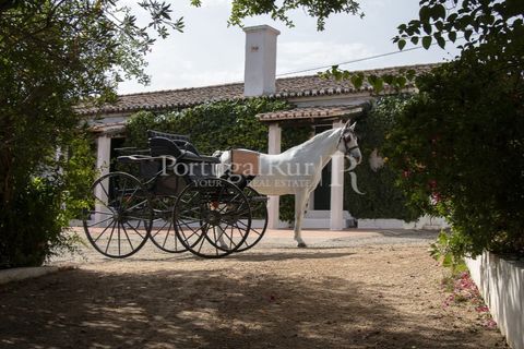Villa i Moura, Beja, Moura - € 1.200.000 | Ref: TG3278 - foto 27