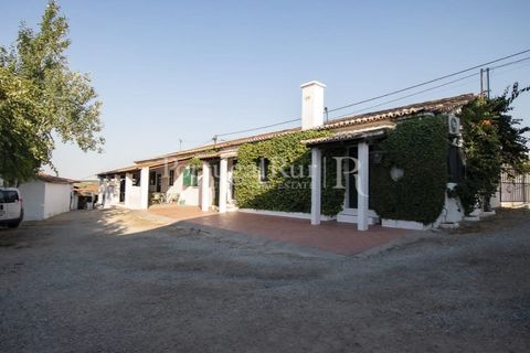 Villa i Moura, Beja, Moura - € 1.200.000 | Ref: TG3278 - foto 28