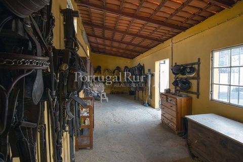 Villa i Moura, Beja, Moura - € 1.200.000 | Ref: TG3278 - foto 34