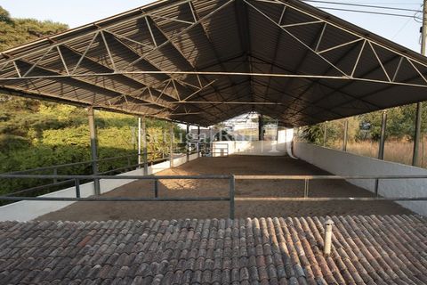 Villa i Moura, Beja, Moura - € 1.200.000 | Ref: TG3278 - foto 37