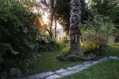 Villa i Moura, Beja, Moura - € 1.200.000 | Ref: TG3278 - foto 38