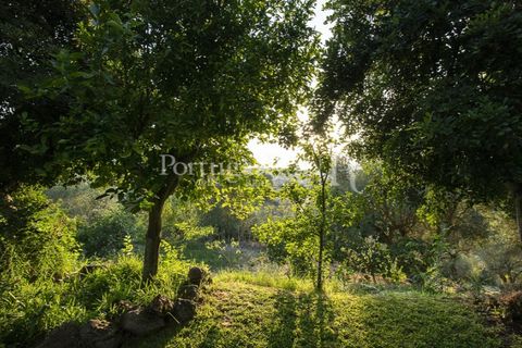 Villa i Moura, Beja, Moura - € 1.200.000 | Ref: TG3278 - foto 39