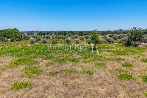 Tomt i Abrantes, Santarem, Abrantes - € 55 000 | Ref: JF200 - foto 2