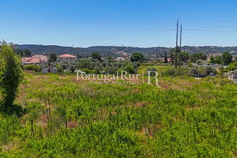 Tomt i Abrantes, Santarem, Abrantes - € 55 000 | Ref: JF200 - foto 3
