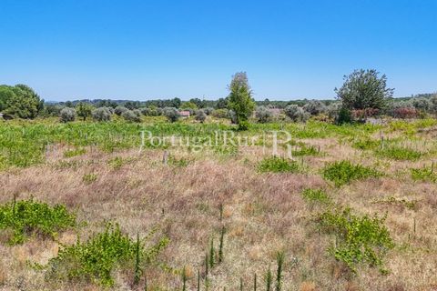 Tomt i Abrantes, Santarem, Abrantes - € 55 000 | Ref: JF200 - foto 4