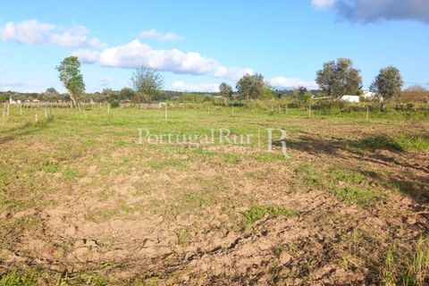 Tomt i Abrantes, Santarem, Abrantes - € 55 000 | Ref: JF200 - foto 6