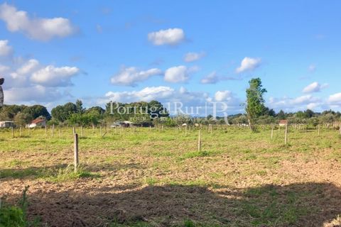 Tomt i Abrantes, Santarem, Abrantes - € 55 000 | Ref: JF200 - foto 7