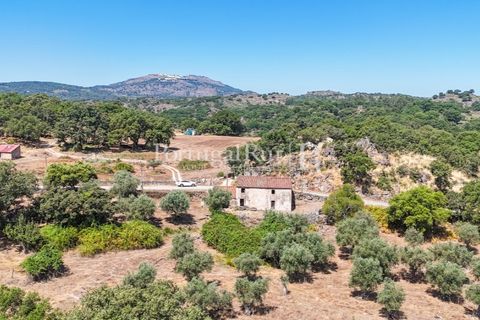 Gård i Castelo de Vide, Portalegre, Castelo de Vide - € 200 000 | Ref: FG151 - foto 4
