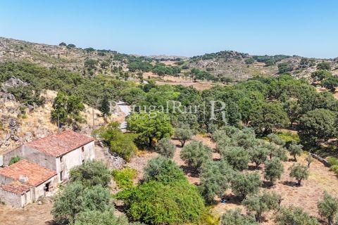 Gård i Castelo de Vide, Portalegre, Castelo de Vide - € 200 000 | Ref: FG151 - foto 5