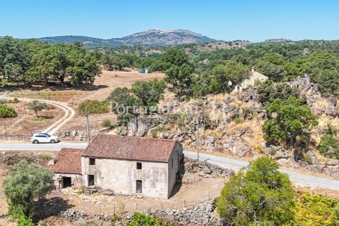 Gård i Castelo de Vide, Portalegre, Castelo de Vide - € 200 000 | Ref: FG151 - foto 6
