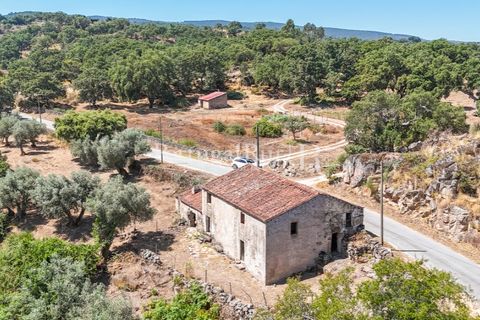 Gård i Castelo de Vide, Portalegre, Castelo de Vide - € 200 000 | Ref: FG151 - foto 7