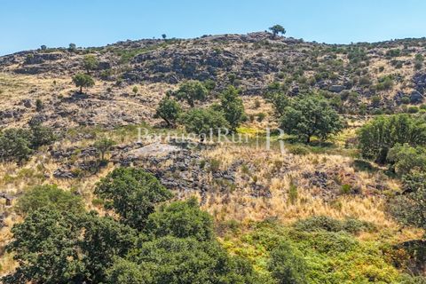 Gård i Castelo de Vide, Portalegre, Castelo de Vide - € 200 000 | Ref: FG151 - foto 8