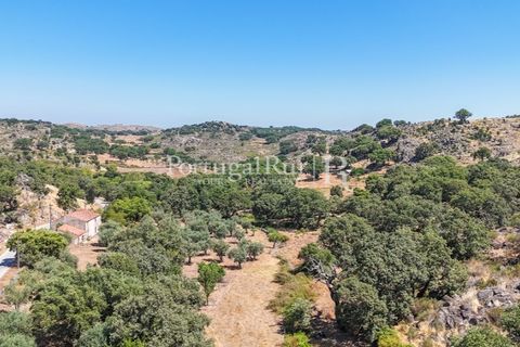 Gård i Castelo de Vide, Portalegre, Castelo de Vide - € 200 000 | Ref: FG151 - foto 9
