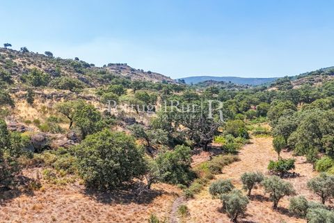Gård i Castelo de Vide, Portalegre, Castelo de Vide - € 200 000 | Ref: FG151 - foto 10