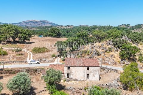 Gård i Castelo de Vide, Portalegre, Castelo de Vide - € 200 000 | Ref: FG151 - foto 11