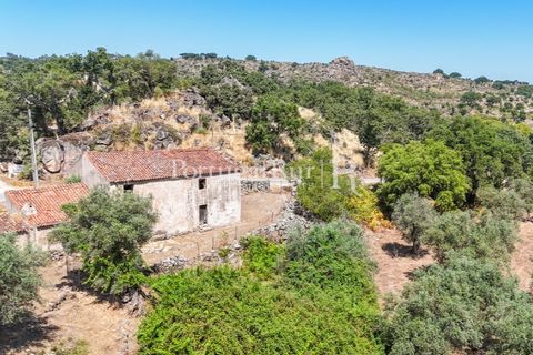 Gård i Castelo de Vide, Portalegre, Castelo de Vide - € 200 000 | Ref: FG151 - foto 12