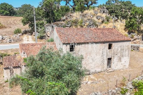 Gård i Castelo de Vide, Portalegre, Castelo de Vide - € 200 000 | Ref: FG151 - foto 13
