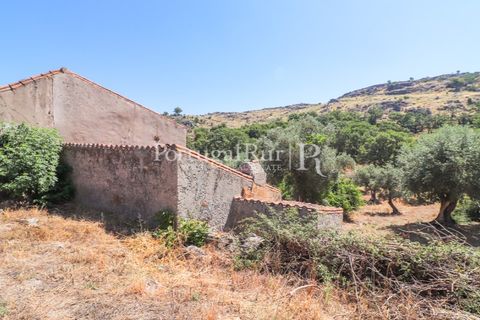Gård i Castelo de Vide, Portalegre, Castelo de Vide - € 200 000 | Ref: FG151 - foto 16