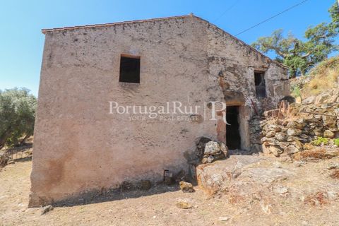Gård i Castelo de Vide, Portalegre, Castelo de Vide - € 200 000 | Ref: FG151 - foto 25