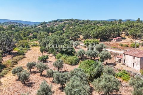 Gård i Castelo de Vide, Portalegre, Castelo de Vide - € 200 000 | Ref: FG151 - foto 26
