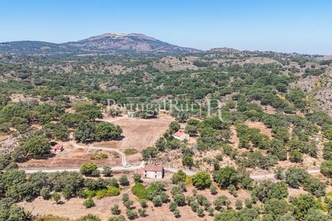 Gård i Castelo de Vide, Portalegre, Castelo de Vide - € 200 000 | Ref: FG151 - foto 27