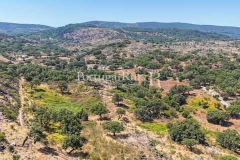 Gård i Castelo de Vide, Portalegre, Castelo de Vide - € 200 000 | Ref: FG151 - foto 28