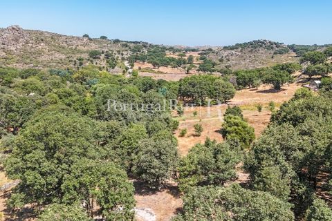 Gård i Castelo de Vide, Portalegre, Castelo de Vide - € 200 000 | Ref: FG151 - foto 29